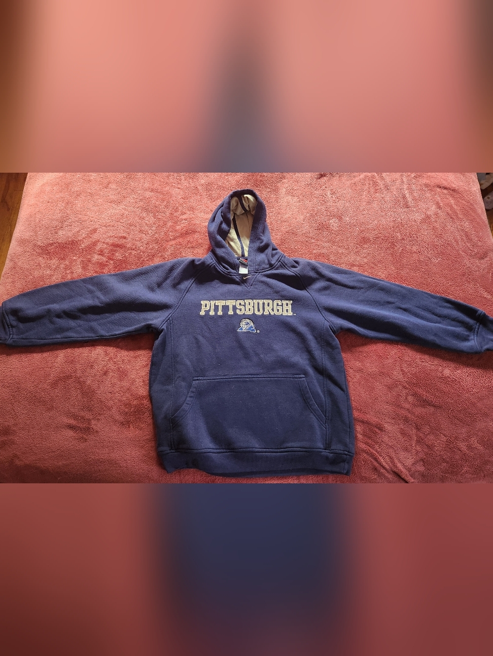 Youth Pitt Hoodie